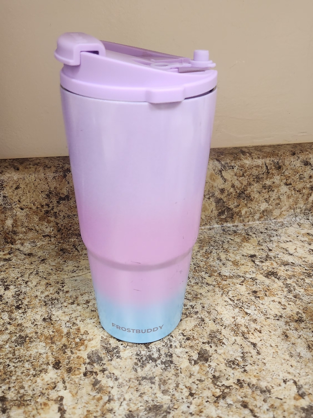 FrostBuddy Ombre Pink to Blue (Cotton Candy) Insulated Travel Tumbler